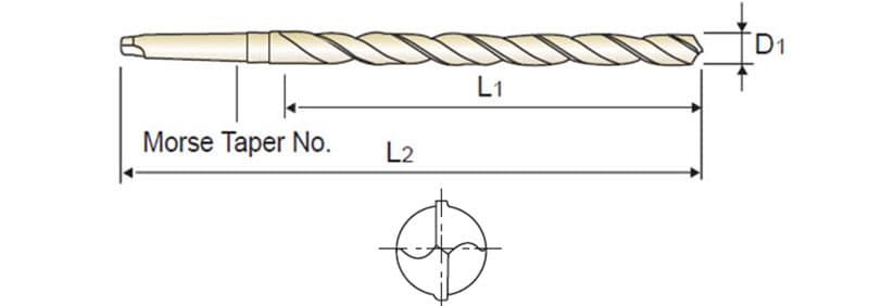 IMAGEN_D1208470