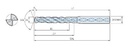 IMAGEN_6-01-054924