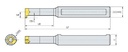 IMAGEN_1-06-041209
